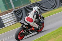 Oulton-Park-Track-Day-18th-Aug-2918;PJ-Motorsport;anglesey;brands-hatch;cadwell-park;croft;donington-park;enduro-digital-images;event-digital-images;eventdigitalimages;mallory;no-limits;oulton-park;peter-wileman-photography;racing-digital-images;silverstone;snetterton;trackday-digital-images;trackday-photos;vmcc-banbury-run;welsh-2-day-enduro