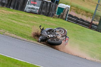 Oulton-Park-Track-Day-18th-Aug-2918;PJ-Motorsport;anglesey;brands-hatch;cadwell-park;croft;donington-park;enduro-digital-images;event-digital-images;eventdigitalimages;mallory;no-limits;oulton-park;peter-wileman-photography;racing-digital-images;silverstone;snetterton;trackday-digital-images;trackday-photos;vmcc-banbury-run;welsh-2-day-enduro