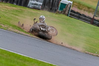 Oulton-Park-Track-Day-18th-Aug-2918;PJ-Motorsport;anglesey;brands-hatch;cadwell-park;croft;donington-park;enduro-digital-images;event-digital-images;eventdigitalimages;mallory;no-limits;oulton-park;peter-wileman-photography;racing-digital-images;silverstone;snetterton;trackday-digital-images;trackday-photos;vmcc-banbury-run;welsh-2-day-enduro