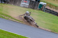 Oulton-Park-Track-Day-18th-Aug-2918;PJ-Motorsport;anglesey;brands-hatch;cadwell-park;croft;donington-park;enduro-digital-images;event-digital-images;eventdigitalimages;mallory;no-limits;oulton-park;peter-wileman-photography;racing-digital-images;silverstone;snetterton;trackday-digital-images;trackday-photos;vmcc-banbury-run;welsh-2-day-enduro