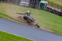 Oulton-Park-Track-Day-18th-Aug-2918;PJ-Motorsport;anglesey;brands-hatch;cadwell-park;croft;donington-park;enduro-digital-images;event-digital-images;eventdigitalimages;mallory;no-limits;oulton-park;peter-wileman-photography;racing-digital-images;silverstone;snetterton;trackday-digital-images;trackday-photos;vmcc-banbury-run;welsh-2-day-enduro