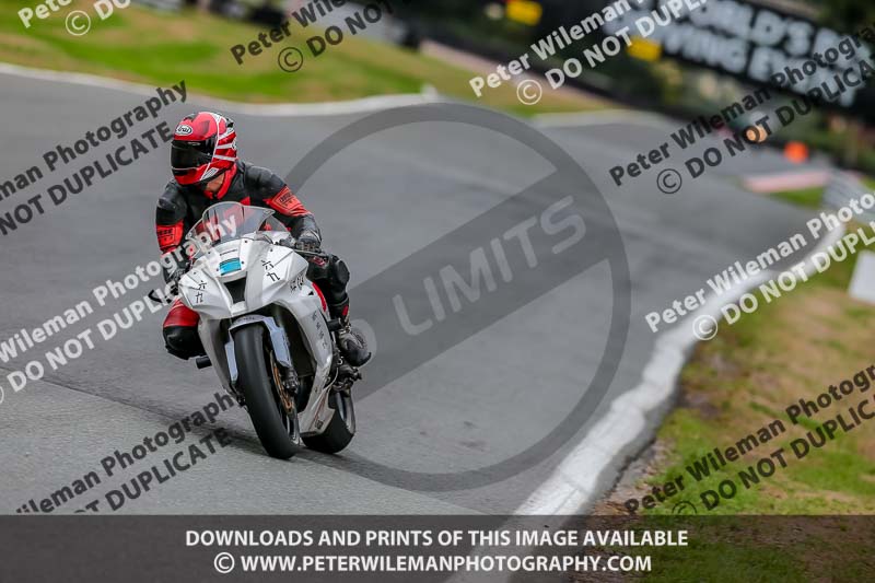 Oulton Park Track Day 18th Aug 2918;PJ Motorsport;anglesey;brands hatch;cadwell park;croft;donington park;enduro digital images;event digital images;eventdigitalimages;mallory;no limits;oulton park;peter wileman photography;racing digital images;silverstone;snetterton;trackday digital images;trackday photos;vmcc banbury run;welsh 2 day enduro