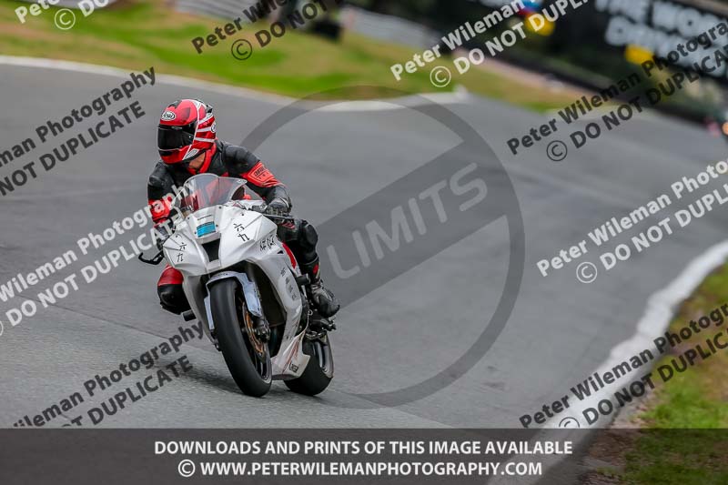 Oulton Park Track Day 18th Aug 2918;PJ Motorsport;anglesey;brands hatch;cadwell park;croft;donington park;enduro digital images;event digital images;eventdigitalimages;mallory;no limits;oulton park;peter wileman photography;racing digital images;silverstone;snetterton;trackday digital images;trackday photos;vmcc banbury run;welsh 2 day enduro