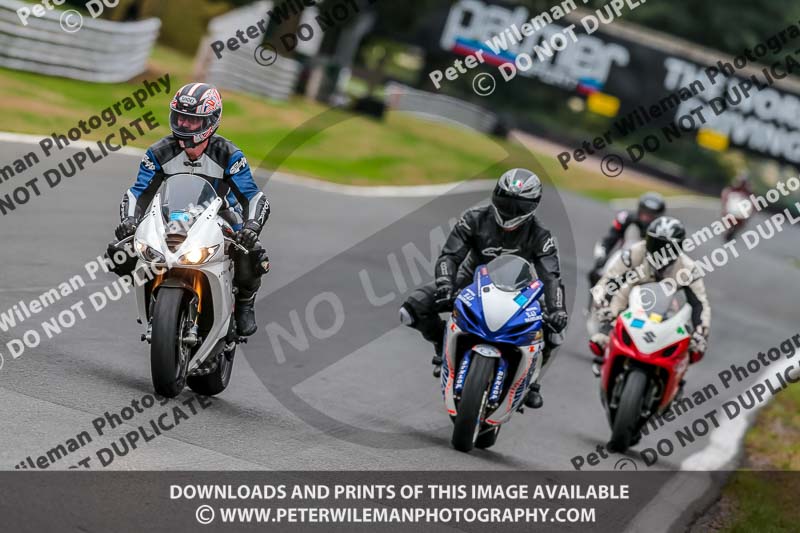 Oulton Park Track Day 18th Aug 2918;PJ Motorsport;anglesey;brands hatch;cadwell park;croft;donington park;enduro digital images;event digital images;eventdigitalimages;mallory;no limits;oulton park;peter wileman photography;racing digital images;silverstone;snetterton;trackday digital images;trackday photos;vmcc banbury run;welsh 2 day enduro