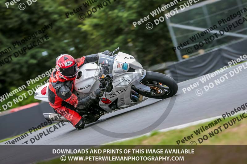 Oulton Park Track Day 18th Aug 2918;PJ Motorsport;anglesey;brands hatch;cadwell park;croft;donington park;enduro digital images;event digital images;eventdigitalimages;mallory;no limits;oulton park;peter wileman photography;racing digital images;silverstone;snetterton;trackday digital images;trackday photos;vmcc banbury run;welsh 2 day enduro