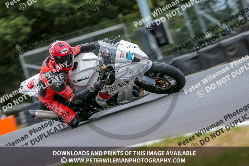 Oulton Park Track Day 18th Aug 2918;PJ Motorsport;anglesey;brands hatch;cadwell park;croft;donington park;enduro digital images;event digital images;eventdigitalimages;mallory;no limits;oulton park;peter wileman photography;racing digital images;silverstone;snetterton;trackday digital images;trackday photos;vmcc banbury run;welsh 2 day enduro