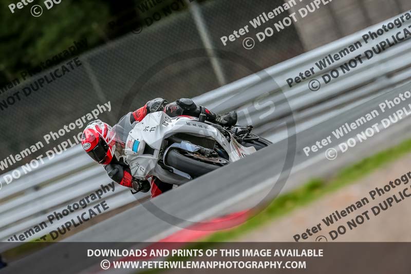 Oulton Park Track Day 18th Aug 2918;PJ Motorsport;anglesey;brands hatch;cadwell park;croft;donington park;enduro digital images;event digital images;eventdigitalimages;mallory;no limits;oulton park;peter wileman photography;racing digital images;silverstone;snetterton;trackday digital images;trackday photos;vmcc banbury run;welsh 2 day enduro