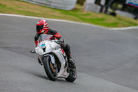 Oulton-Park-Track-Day-18th-Aug-2918;PJ-Motorsport;anglesey;brands-hatch;cadwell-park;croft;donington-park;enduro-digital-images;event-digital-images;eventdigitalimages;mallory;no-limits;oulton-park;peter-wileman-photography;racing-digital-images;silverstone;snetterton;trackday-digital-images;trackday-photos;vmcc-banbury-run;welsh-2-day-enduro