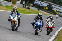 Oulton-Park-Track-Day-18th-Aug-2918;PJ-Motorsport;anglesey;brands-hatch;cadwell-park;croft;donington-park;enduro-digital-images;event-digital-images;eventdigitalimages;mallory;no-limits;oulton-park;peter-wileman-photography;racing-digital-images;silverstone;snetterton;trackday-digital-images;trackday-photos;vmcc-banbury-run;welsh-2-day-enduro