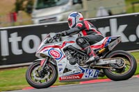 Oulton-Park-Track-Day-18th-Aug-2918;PJ-Motorsport;anglesey;brands-hatch;cadwell-park;croft;donington-park;enduro-digital-images;event-digital-images;eventdigitalimages;mallory;no-limits;oulton-park;peter-wileman-photography;racing-digital-images;silverstone;snetterton;trackday-digital-images;trackday-photos;vmcc-banbury-run;welsh-2-day-enduro