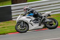 Oulton-Park-Track-Day-18th-Aug-2918;PJ-Motorsport;anglesey;brands-hatch;cadwell-park;croft;donington-park;enduro-digital-images;event-digital-images;eventdigitalimages;mallory;no-limits;oulton-park;peter-wileman-photography;racing-digital-images;silverstone;snetterton;trackday-digital-images;trackday-photos;vmcc-banbury-run;welsh-2-day-enduro