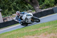 Oulton-Park-Track-Day-18th-Aug-2918;PJ-Motorsport;anglesey;brands-hatch;cadwell-park;croft;donington-park;enduro-digital-images;event-digital-images;eventdigitalimages;mallory;no-limits;oulton-park;peter-wileman-photography;racing-digital-images;silverstone;snetterton;trackday-digital-images;trackday-photos;vmcc-banbury-run;welsh-2-day-enduro