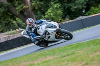 Oulton-Park-Track-Day-18th-Aug-2918;PJ-Motorsport;anglesey;brands-hatch;cadwell-park;croft;donington-park;enduro-digital-images;event-digital-images;eventdigitalimages;mallory;no-limits;oulton-park;peter-wileman-photography;racing-digital-images;silverstone;snetterton;trackday-digital-images;trackday-photos;vmcc-banbury-run;welsh-2-day-enduro