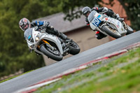 Oulton-Park-Track-Day-18th-Aug-2918;PJ-Motorsport;anglesey;brands-hatch;cadwell-park;croft;donington-park;enduro-digital-images;event-digital-images;eventdigitalimages;mallory;no-limits;oulton-park;peter-wileman-photography;racing-digital-images;silverstone;snetterton;trackday-digital-images;trackday-photos;vmcc-banbury-run;welsh-2-day-enduro