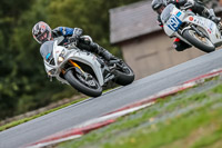 Oulton-Park-Track-Day-18th-Aug-2918;PJ-Motorsport;anglesey;brands-hatch;cadwell-park;croft;donington-park;enduro-digital-images;event-digital-images;eventdigitalimages;mallory;no-limits;oulton-park;peter-wileman-photography;racing-digital-images;silverstone;snetterton;trackday-digital-images;trackday-photos;vmcc-banbury-run;welsh-2-day-enduro