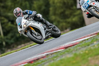 Oulton-Park-Track-Day-18th-Aug-2918;PJ-Motorsport;anglesey;brands-hatch;cadwell-park;croft;donington-park;enduro-digital-images;event-digital-images;eventdigitalimages;mallory;no-limits;oulton-park;peter-wileman-photography;racing-digital-images;silverstone;snetterton;trackday-digital-images;trackday-photos;vmcc-banbury-run;welsh-2-day-enduro