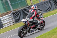 Oulton-Park-Track-Day-18th-Aug-2918;PJ-Motorsport;anglesey;brands-hatch;cadwell-park;croft;donington-park;enduro-digital-images;event-digital-images;eventdigitalimages;mallory;no-limits;oulton-park;peter-wileman-photography;racing-digital-images;silverstone;snetterton;trackday-digital-images;trackday-photos;vmcc-banbury-run;welsh-2-day-enduro