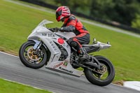 Oulton-Park-Track-Day-18th-Aug-2918;PJ-Motorsport;anglesey;brands-hatch;cadwell-park;croft;donington-park;enduro-digital-images;event-digital-images;eventdigitalimages;mallory;no-limits;oulton-park;peter-wileman-photography;racing-digital-images;silverstone;snetterton;trackday-digital-images;trackday-photos;vmcc-banbury-run;welsh-2-day-enduro