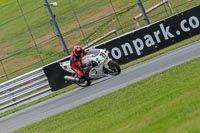 Oulton-Park-Track-Day-18th-Aug-2918;PJ-Motorsport;anglesey;brands-hatch;cadwell-park;croft;donington-park;enduro-digital-images;event-digital-images;eventdigitalimages;mallory;no-limits;oulton-park;peter-wileman-photography;racing-digital-images;silverstone;snetterton;trackday-digital-images;trackday-photos;vmcc-banbury-run;welsh-2-day-enduro