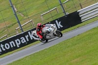 Oulton-Park-Track-Day-18th-Aug-2918;PJ-Motorsport;anglesey;brands-hatch;cadwell-park;croft;donington-park;enduro-digital-images;event-digital-images;eventdigitalimages;mallory;no-limits;oulton-park;peter-wileman-photography;racing-digital-images;silverstone;snetterton;trackday-digital-images;trackday-photos;vmcc-banbury-run;welsh-2-day-enduro