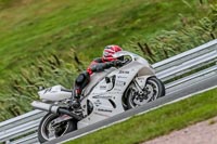 Oulton-Park-Track-Day-18th-Aug-2918;PJ-Motorsport;anglesey;brands-hatch;cadwell-park;croft;donington-park;enduro-digital-images;event-digital-images;eventdigitalimages;mallory;no-limits;oulton-park;peter-wileman-photography;racing-digital-images;silverstone;snetterton;trackday-digital-images;trackday-photos;vmcc-banbury-run;welsh-2-day-enduro