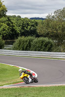 Lower Group Yellow Bikes