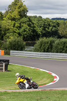 Lower Group Yellow Bikes