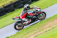 PJ-Motorsport-Photography-2018;anglesey-no-limits-trackday;anglesey-photographs;anglesey-trackday-photographs;enduro-digital-images;event-digital-images;eventdigitalimages;no-limits-trackdays;peter-wileman-photography;racing-digital-images;trac-mon;trackday-digital-images;trackday-photos;ty-croes