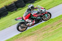 PJ-Motorsport-Photography-2018;anglesey-no-limits-trackday;anglesey-photographs;anglesey-trackday-photographs;enduro-digital-images;event-digital-images;eventdigitalimages;no-limits-trackdays;peter-wileman-photography;racing-digital-images;trac-mon;trackday-digital-images;trackday-photos;ty-croes