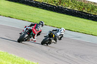 PJ-Motorsport-Photography-2018;anglesey-no-limits-trackday;anglesey-photographs;anglesey-trackday-photographs;enduro-digital-images;event-digital-images;eventdigitalimages;no-limits-trackdays;peter-wileman-photography;racing-digital-images;trac-mon;trackday-digital-images;trackday-photos;ty-croes