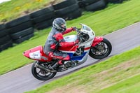 PJ-Motorsport-Photography-2018;anglesey-no-limits-trackday;anglesey-photographs;anglesey-trackday-photographs;enduro-digital-images;event-digital-images;eventdigitalimages;no-limits-trackdays;peter-wileman-photography;racing-digital-images;trac-mon;trackday-digital-images;trackday-photos;ty-croes