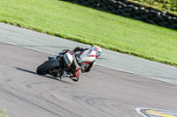 PJ-Motorsport-Photography-2018;anglesey-no-limits-trackday;anglesey-photographs;anglesey-trackday-photographs;enduro-digital-images;event-digital-images;eventdigitalimages;no-limits-trackdays;peter-wileman-photography;racing-digital-images;trac-mon;trackday-digital-images;trackday-photos;ty-croes