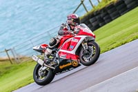 PJ-Motorsport-Photography-2018;anglesey-no-limits-trackday;anglesey-photographs;anglesey-trackday-photographs;enduro-digital-images;event-digital-images;eventdigitalimages;no-limits-trackdays;peter-wileman-photography;racing-digital-images;trac-mon;trackday-digital-images;trackday-photos;ty-croes