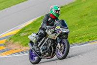 PJ-Motorsport-Photography-2018;anglesey-no-limits-trackday;anglesey-photographs;anglesey-trackday-photographs;enduro-digital-images;event-digital-images;eventdigitalimages;no-limits-trackdays;peter-wileman-photography;racing-digital-images;trac-mon;trackday-digital-images;trackday-photos;ty-croes