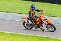 Lower Group Orange Bikes