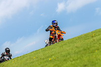 PJ-Motorsport-Photography-2018;anglesey-no-limits-trackday;anglesey-photographs;anglesey-trackday-photographs;enduro-digital-images;event-digital-images;eventdigitalimages;no-limits-trackdays;peter-wileman-photography;racing-digital-images;trac-mon;trackday-digital-images;trackday-photos;ty-croes