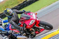 PJ-Motorsport-Photography-2018;anglesey-no-limits-trackday;anglesey-photographs;anglesey-trackday-photographs;enduro-digital-images;event-digital-images;eventdigitalimages;no-limits-trackdays;peter-wileman-photography;racing-digital-images;trac-mon;trackday-digital-images;trackday-photos;ty-croes