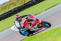 PJ-Motorsport-Photography-2018;anglesey-no-limits-trackday;anglesey-photographs;anglesey-trackday-photographs;enduro-digital-images;event-digital-images;eventdigitalimages;no-limits-trackdays;peter-wileman-photography;racing-digital-images;trac-mon;trackday-digital-images;trackday-photos;ty-croes