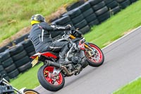 PJ-Motorsport-Photography-2018;anglesey-no-limits-trackday;anglesey-photographs;anglesey-trackday-photographs;enduro-digital-images;event-digital-images;eventdigitalimages;no-limits-trackdays;peter-wileman-photography;racing-digital-images;trac-mon;trackday-digital-images;trackday-photos;ty-croes