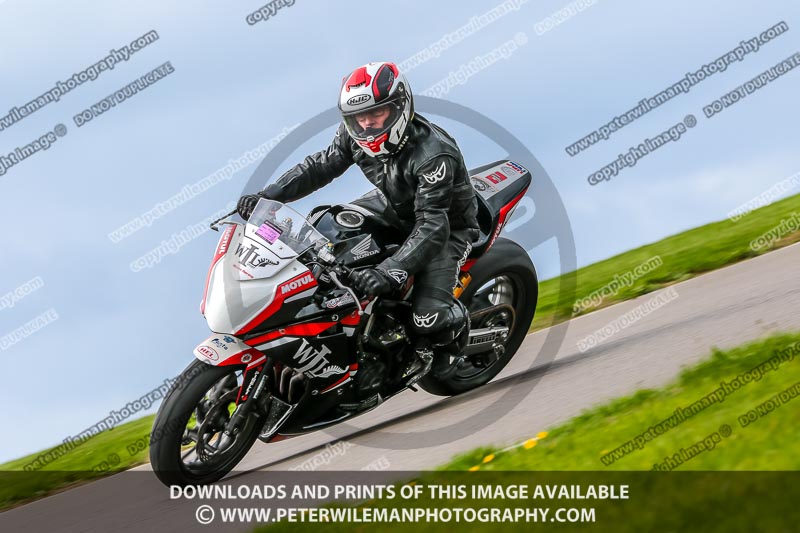 PJ Motorsport;anglesey no limits trackday;anglesey photographs;anglesey trackday photographs;enduro digital images;event digital images;eventdigitalimages;no limits trackdays;peter wileman photography;racing digital images;trac mon;trackday digital images;trackday photos;ty croes