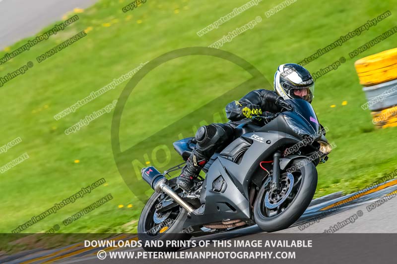 PJ Motorsport;anglesey no limits trackday;anglesey photographs;anglesey trackday photographs;enduro digital images;event digital images;eventdigitalimages;no limits trackdays;peter wileman photography;racing digital images;trac mon;trackday digital images;trackday photos;ty croes