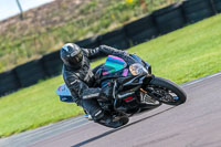 PJ-Motorsport;anglesey-no-limits-trackday;anglesey-photographs;anglesey-trackday-photographs;enduro-digital-images;event-digital-images;eventdigitalimages;no-limits-trackdays;peter-wileman-photography;racing-digital-images;trac-mon;trackday-digital-images;trackday-photos;ty-croes