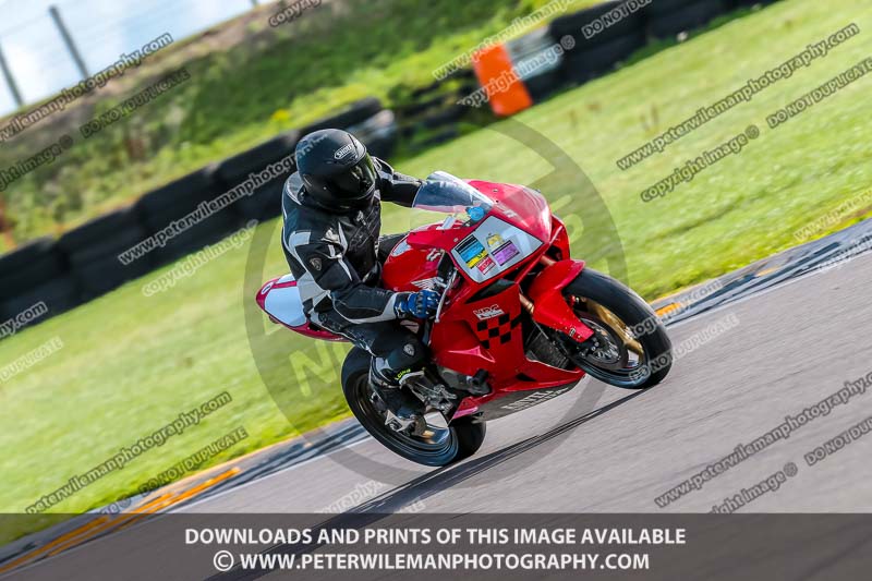 PJ Motorsport;anglesey no limits trackday;anglesey photographs;anglesey trackday photographs;enduro digital images;event digital images;eventdigitalimages;no limits trackdays;peter wileman photography;racing digital images;trac mon;trackday digital images;trackday photos;ty croes