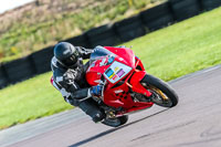 PJ-Motorsport;anglesey-no-limits-trackday;anglesey-photographs;anglesey-trackday-photographs;enduro-digital-images;event-digital-images;eventdigitalimages;no-limits-trackdays;peter-wileman-photography;racing-digital-images;trac-mon;trackday-digital-images;trackday-photos;ty-croes