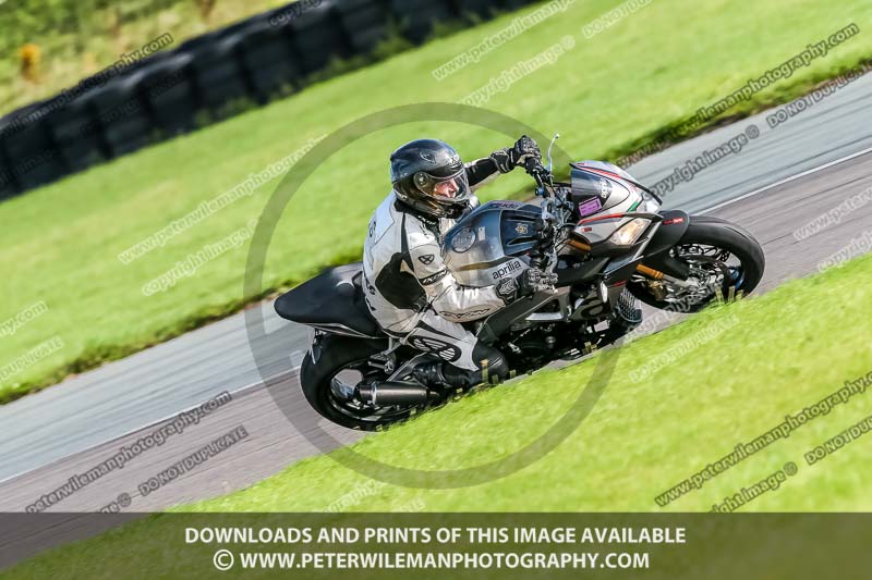 PJ Motorsport;anglesey no limits trackday;anglesey photographs;anglesey trackday photographs;enduro digital images;event digital images;eventdigitalimages;no limits trackdays;peter wileman photography;racing digital images;trac mon;trackday digital images;trackday photos;ty croes