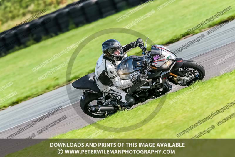 PJ Motorsport;anglesey no limits trackday;anglesey photographs;anglesey trackday photographs;enduro digital images;event digital images;eventdigitalimages;no limits trackdays;peter wileman photography;racing digital images;trac mon;trackday digital images;trackday photos;ty croes