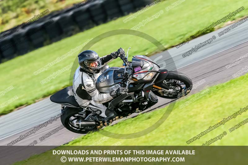 PJ Motorsport;anglesey no limits trackday;anglesey photographs;anglesey trackday photographs;enduro digital images;event digital images;eventdigitalimages;no limits trackdays;peter wileman photography;racing digital images;trac mon;trackday digital images;trackday photos;ty croes