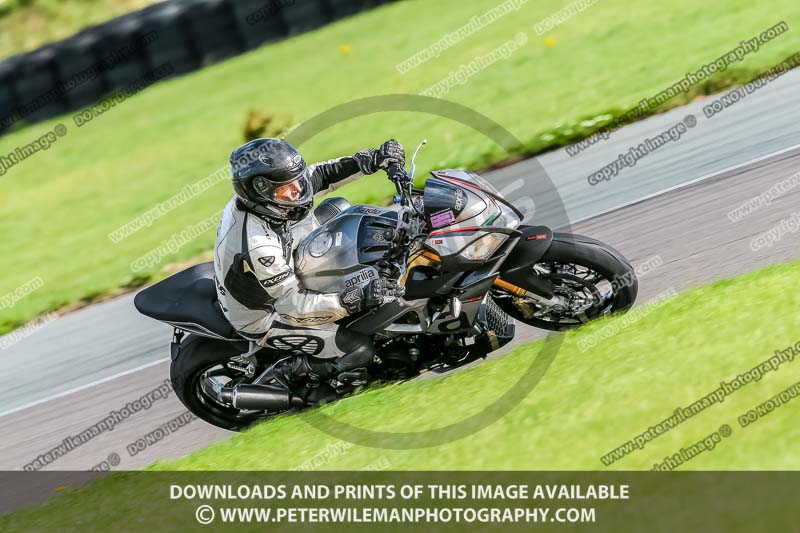 PJ Motorsport;anglesey no limits trackday;anglesey photographs;anglesey trackday photographs;enduro digital images;event digital images;eventdigitalimages;no limits trackdays;peter wileman photography;racing digital images;trac mon;trackday digital images;trackday photos;ty croes