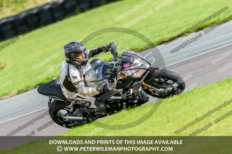 PJ Motorsport;anglesey no limits trackday;anglesey photographs;anglesey trackday photographs;enduro digital images;event digital images;eventdigitalimages;no limits trackdays;peter wileman photography;racing digital images;trac mon;trackday digital images;trackday photos;ty croes