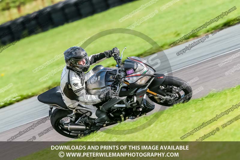 PJ Motorsport;anglesey no limits trackday;anglesey photographs;anglesey trackday photographs;enduro digital images;event digital images;eventdigitalimages;no limits trackdays;peter wileman photography;racing digital images;trac mon;trackday digital images;trackday photos;ty croes